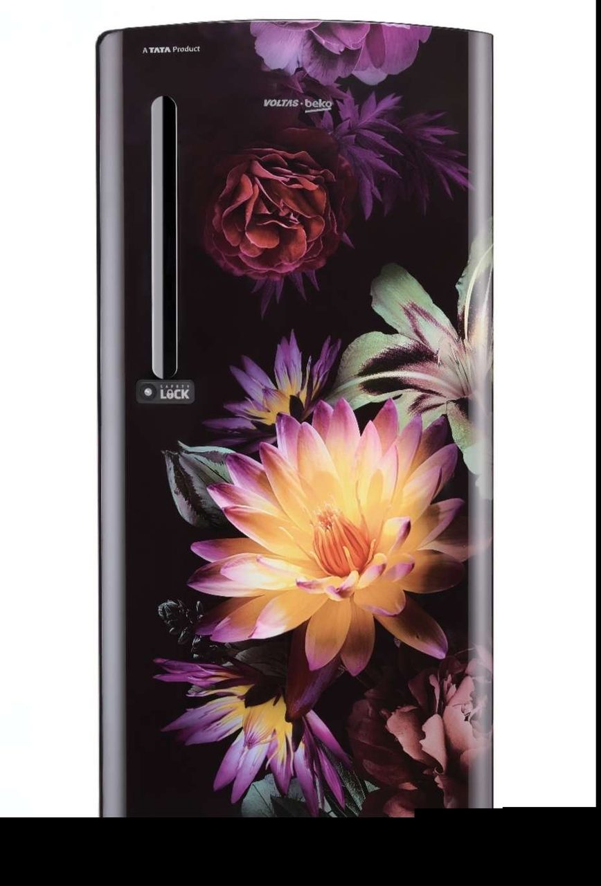Voltash Refrigerator 185L (RDC220B/W0RFE0M000UGD)